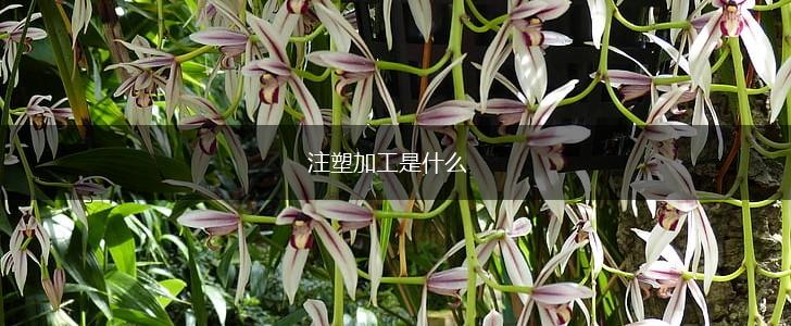 注塑加工是什么,第1张
