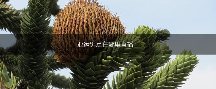 亚运男足在哪里直播,第1张
