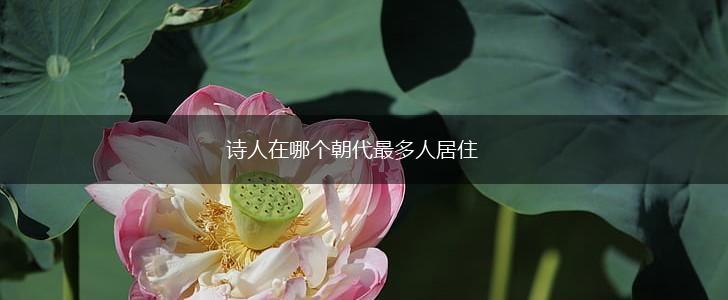 诗人在哪个朝代最多人居住,第1张