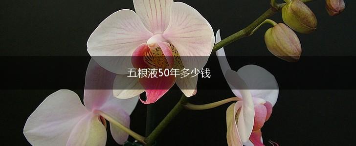 五粮液50年多少钱,第1张