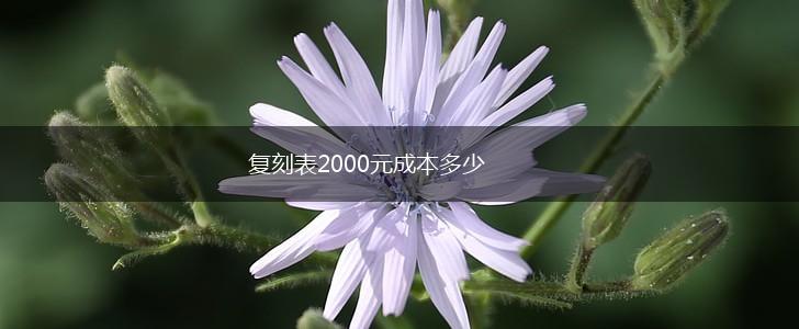 复刻表2000元成本多少,第1张