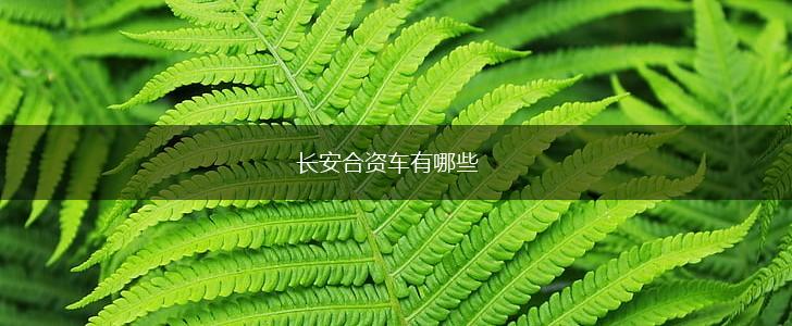 长安合资车有哪些,第1张
