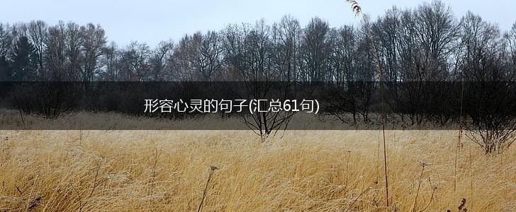 形容心灵的句子(汇总61句),第1张