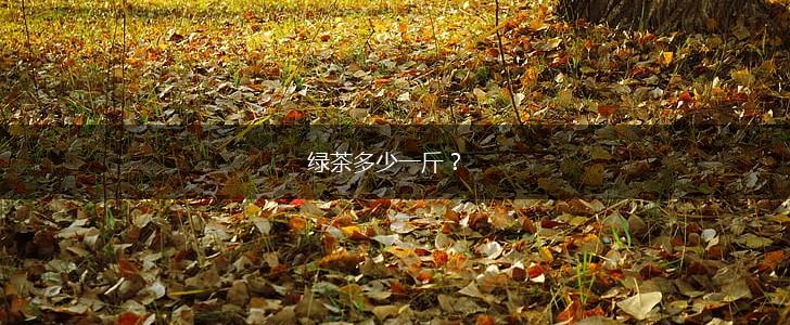 绿茶多少一斤？,第1张