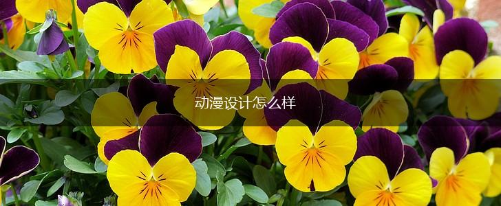 动漫设计怎么样,第1张
