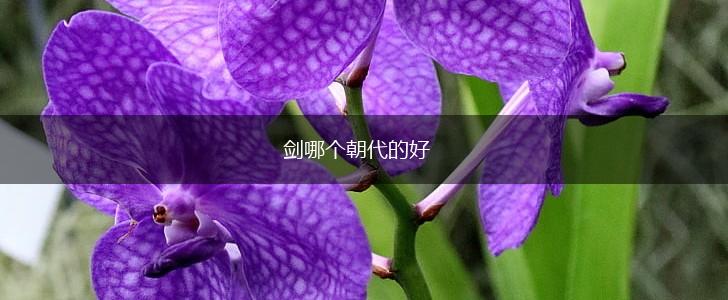 剑哪个朝代的好,第1张