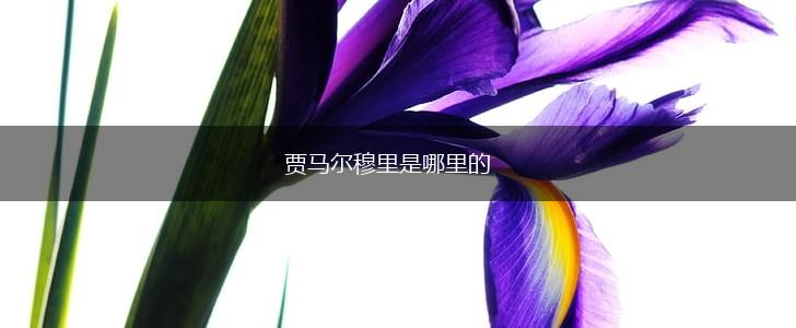 贾马尔穆里是哪里的,第1张