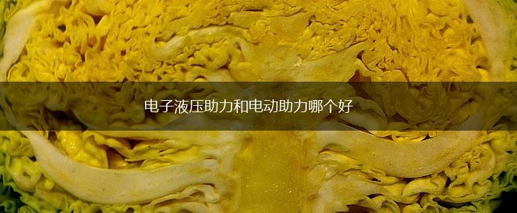 电子液压助力和电动助力哪个好,第1张