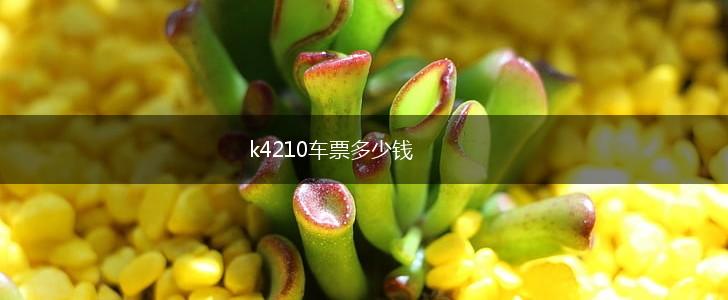 k4210车票多少钱,第1张