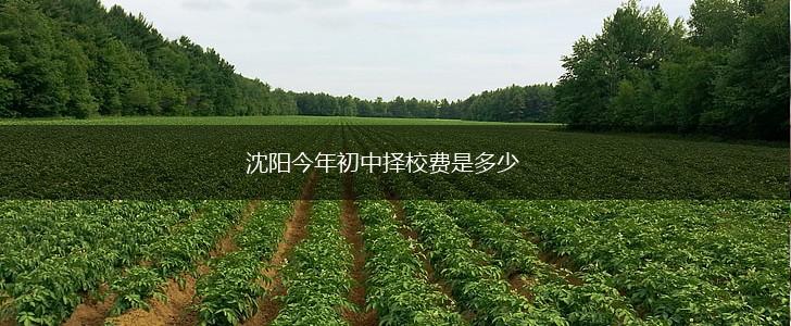 沈阳今年初中择校费是多少,第1张