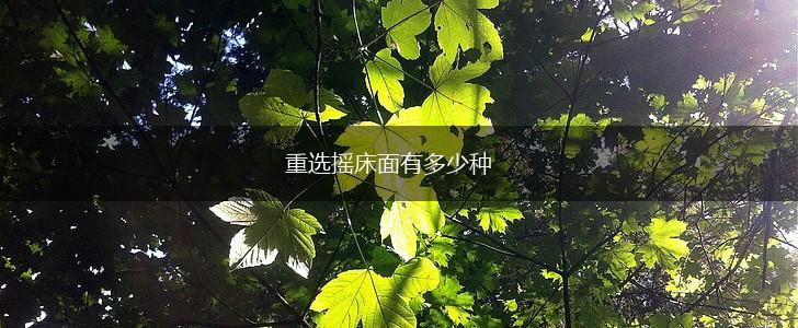 重选摇床面有多少种,第1张