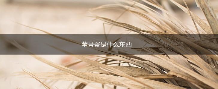 莹骨瓷是什么东西,第1张