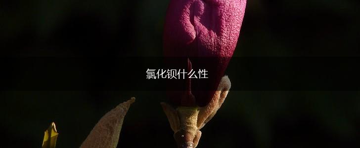 氯化钡什么性,第1张
