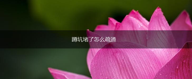 蹲坑堵了怎么疏通,第1张