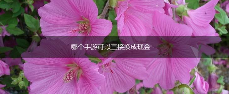 哪个手游可以直接换成现金,第1张