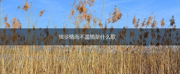 我多情而不滥情是什么歌,第1张