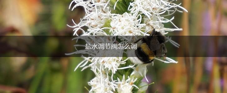 盐水调节阀怎么调,第1张