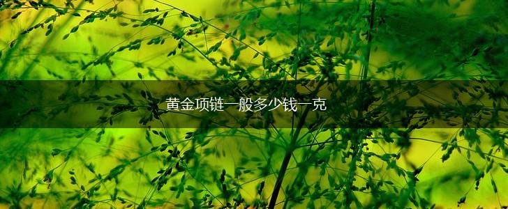 黄金项链一般多少钱一克,第1张