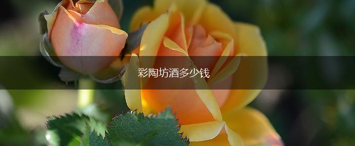 彩陶坊酒多少钱,第1张