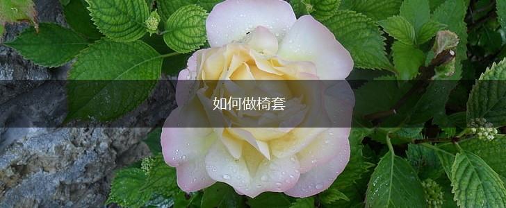 如何做椅套,第1张