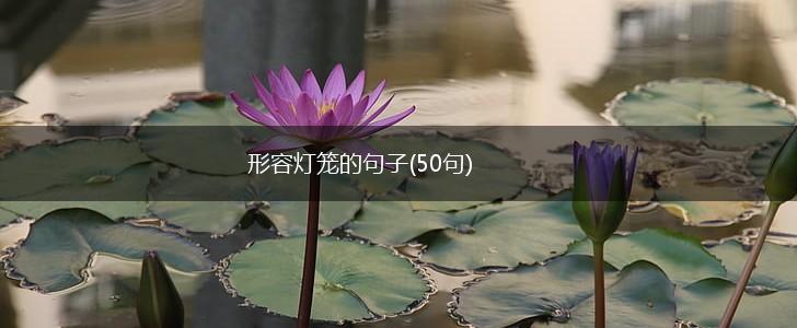 形容灯笼的句子(50句),第1张