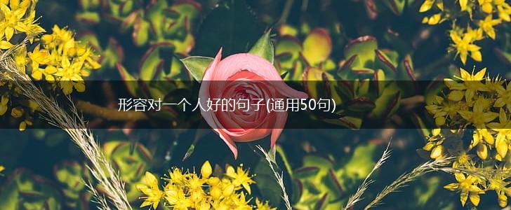 形容对一个人好的句子(通用50句),第1张