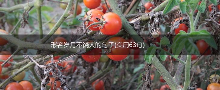 形容岁月不饶人的句子(实用63句),第1张