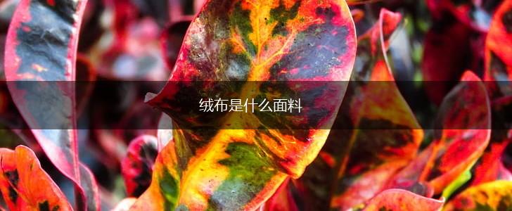 绒布是什么面料,第1张