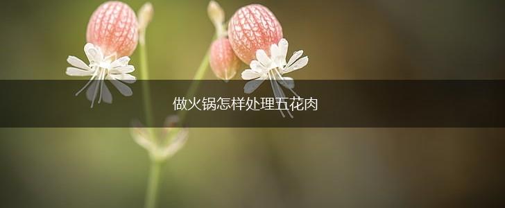 做火锅怎样处理五花肉,第1张