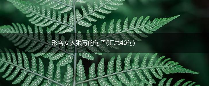 形容女人狠毒的句子(汇总40句),第1张