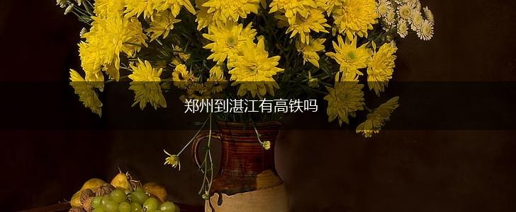 郑州到湛江有高铁吗,第1张
