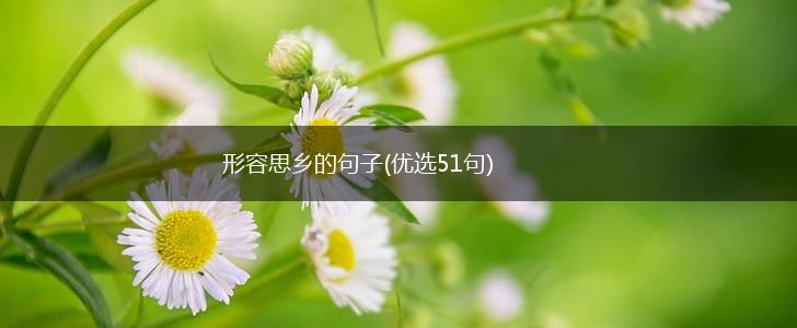 形容思乡的句子(优选51句),第1张