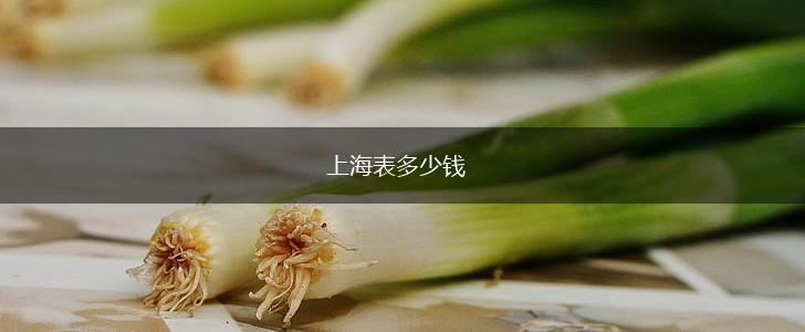 上海表多少钱,第1张