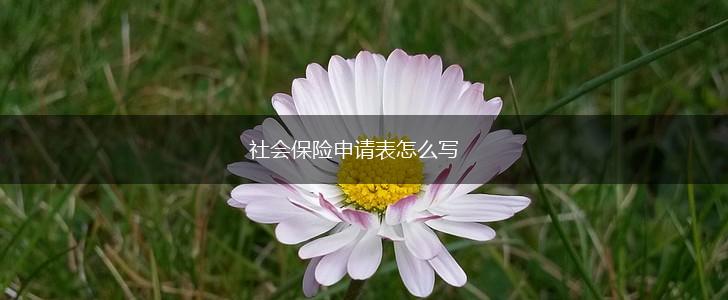 社会保险申请表怎么写,第1张