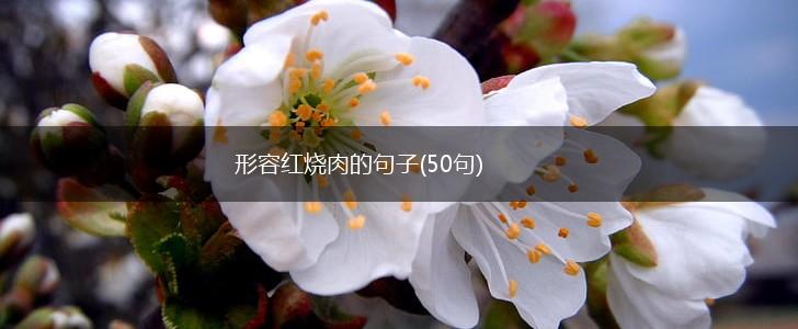 形容红烧肉的句子(50句),第1张 形容红烧肉的句子(50句),第1张