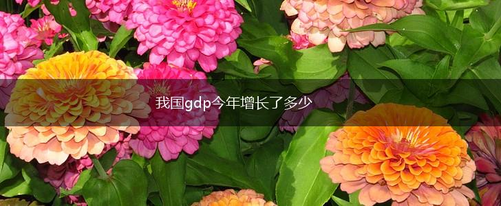 我国gdp今年增长了多少,第1张