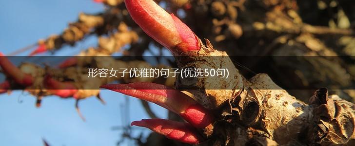 形容女子优雅的句子(优选50句),第1张