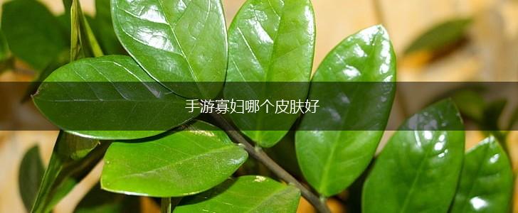 手游寡妇哪个皮肤好,第1张