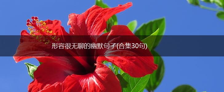 形容很无聊的幽默句子(合集30句),第1张