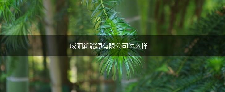 威阳新能源有限公司怎么样,第1张