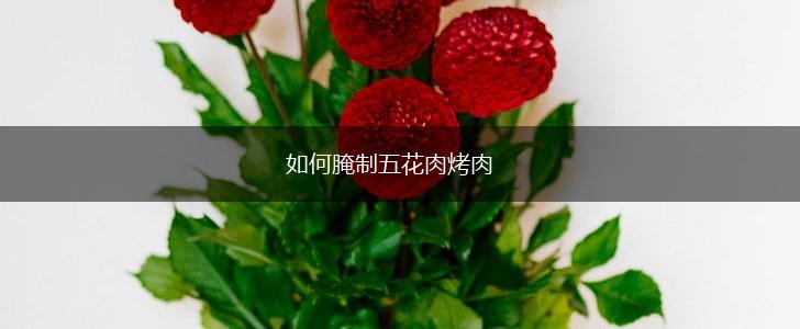 如何腌制五花肉烤肉,第1张