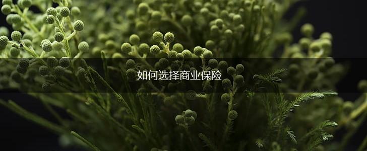 如何选择商业保险,第1张