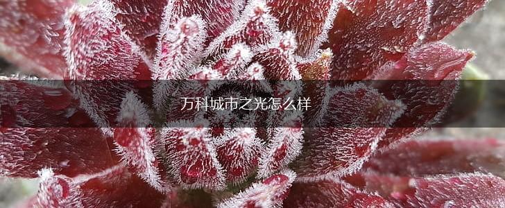 万科城市之光怎么样,第1张