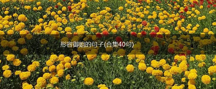 形容御姐的句子(合集40句),第1张