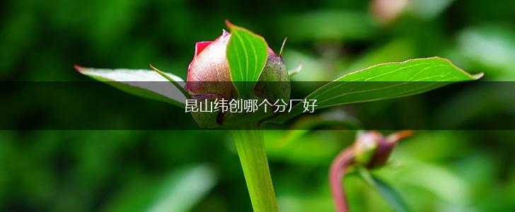 昆山纬创哪个分厂好,第1张