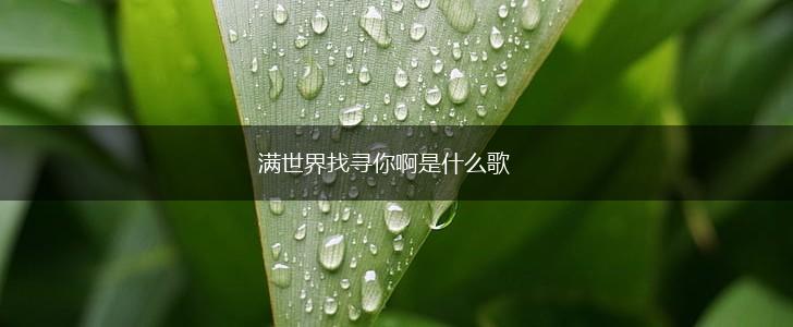 满世界找寻你啊是什么歌,第1张