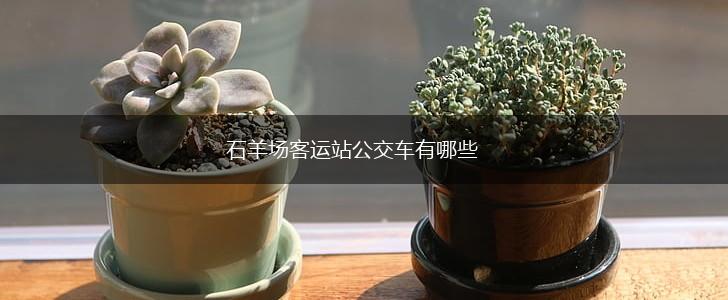 石羊场客运站公交车有哪些,第1张