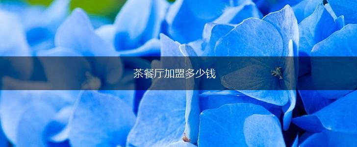 茶餐厅加盟多少钱,第1张