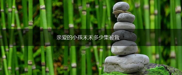 亲爱的小孩禾禾多少集被救,第1张