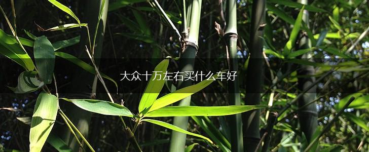 大众十万左右买什么车好,第1张